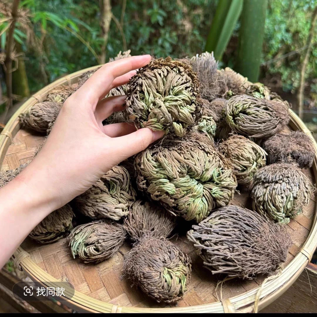 云土优选直播专用链接~非香菇