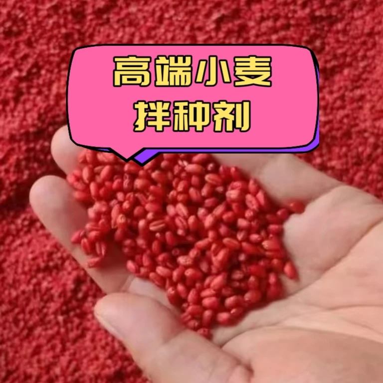 高端小麦拌种包衣正品大厂家叶面肥
