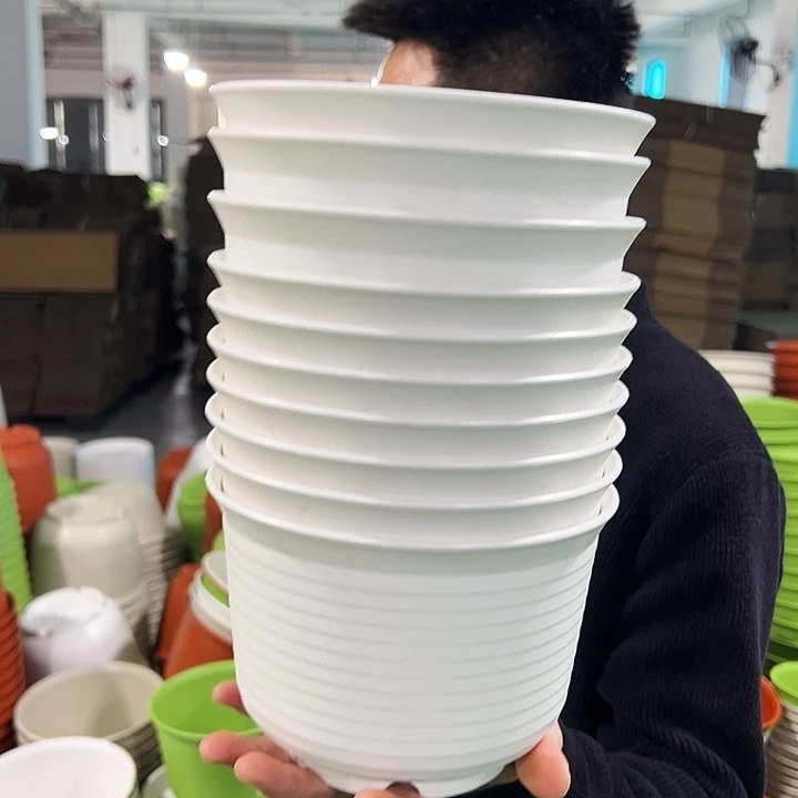 正品矮陶口18高13白色无托10个