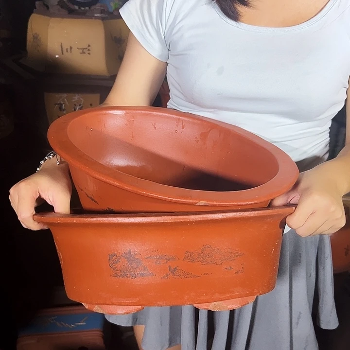 30红椭圆花盆花盆花盆花盆