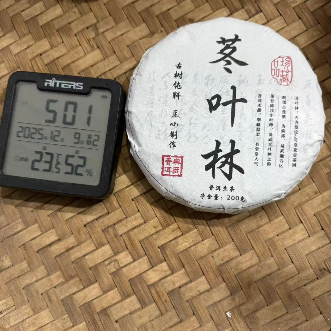 2025年曼松苳叶林古树普洱生茶饼200克RG15号12月9日