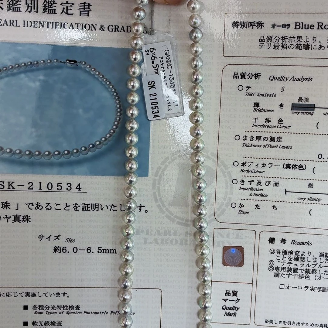 颈饰未镶嵌海水珍珠