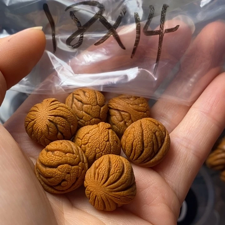 手串文玩核桃秦岭野生龙纹桃核18