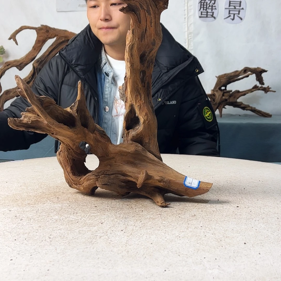 新年快乐沉木造景