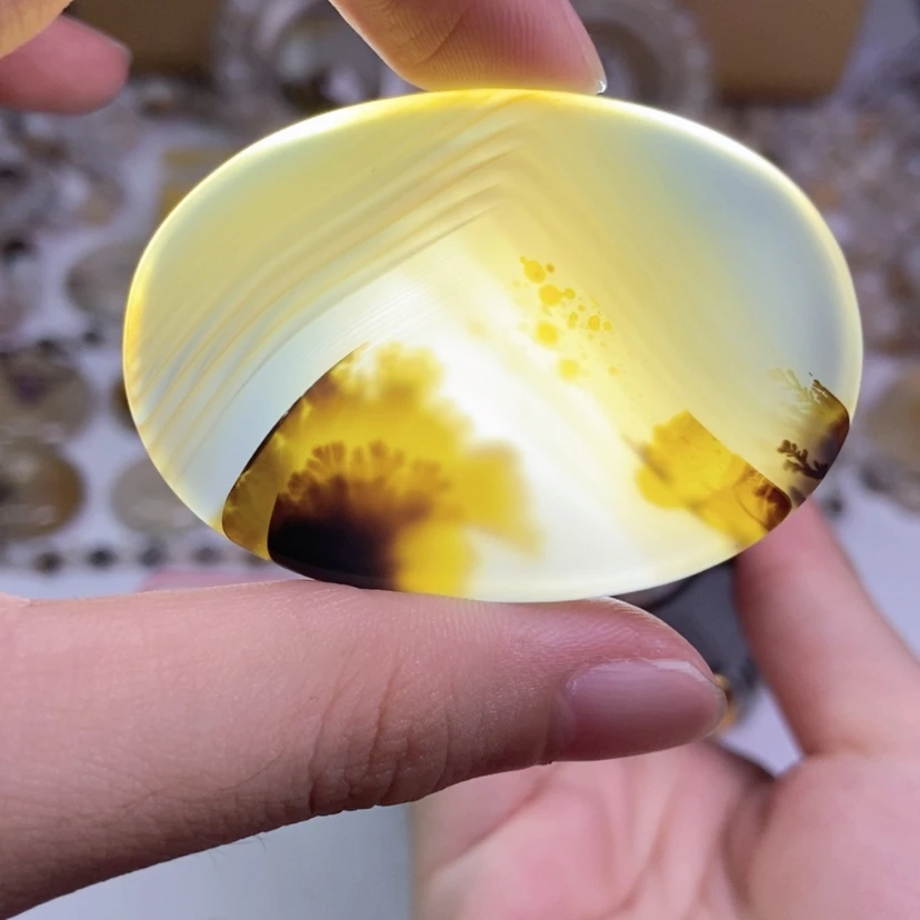 【闪购商品】玛瑙/玉髓颈饰合金