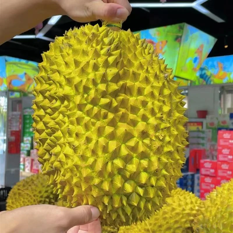 新鲜金枕榴莲整果25.8一斤5-6斤一个（核小）金枕泰国金枕泰国