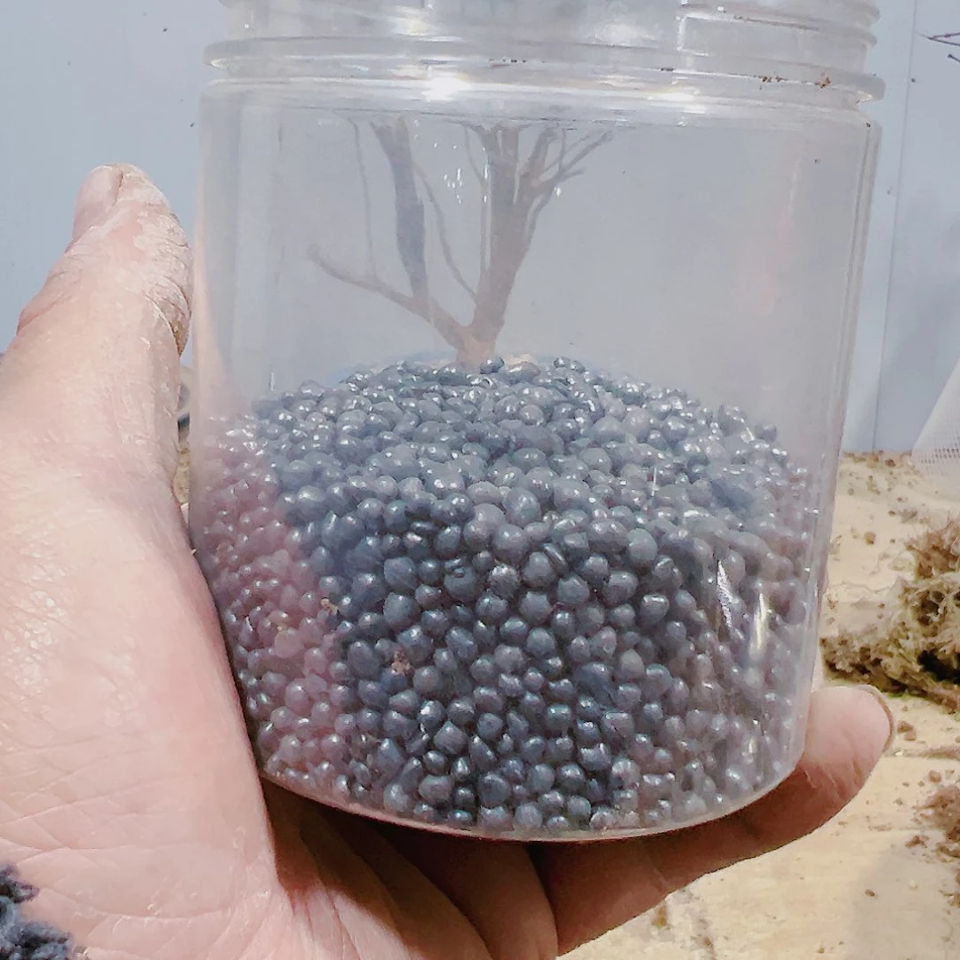 盆景皋月杜鹃防虫