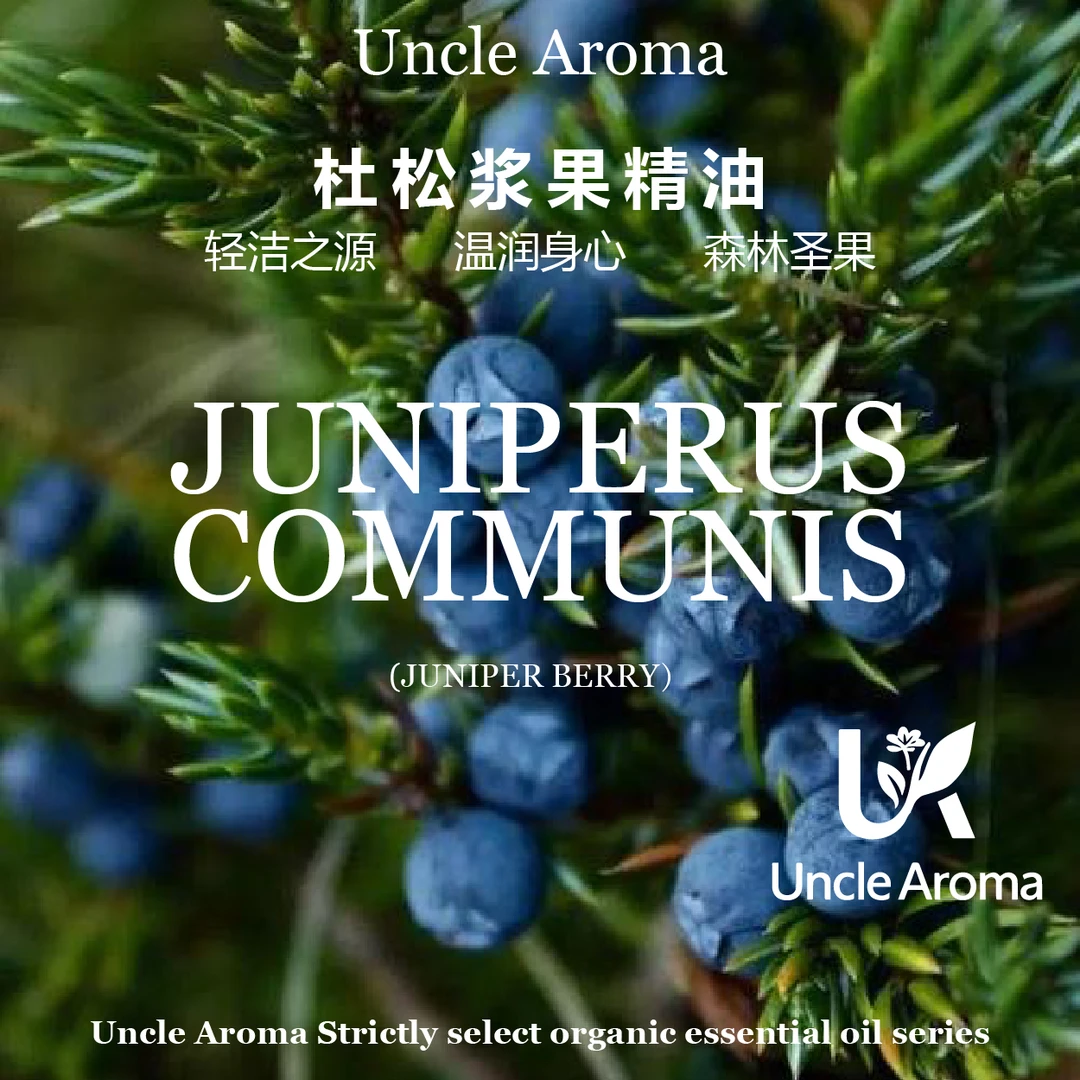 【新】杜松浆果 5ml（单方）
