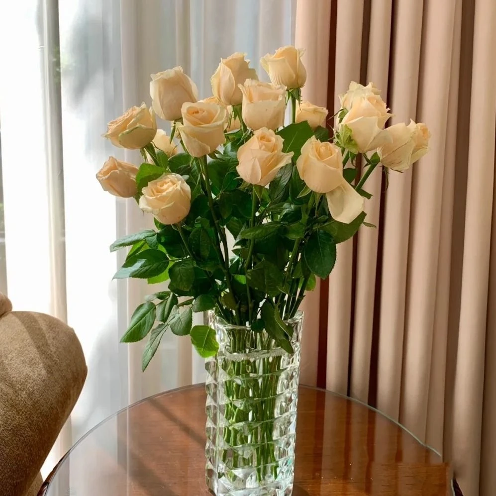 『家居鲜花』满50元送花上门/3支香槟玫瑰/不含花瓶/家居花送长辈送爱人送朋友