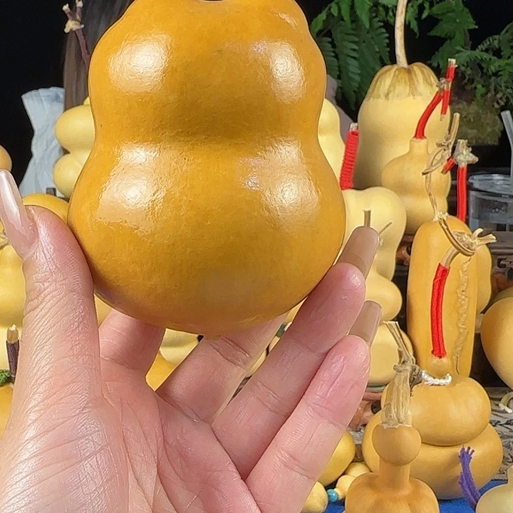 T****大叶紫檀（黑酸枝木类）