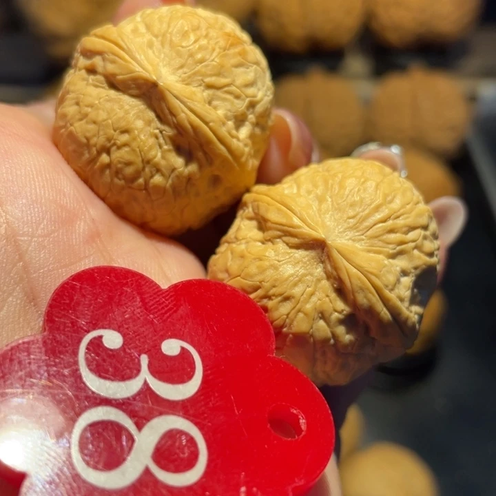 粗筋小西瓜核桃尺寸31