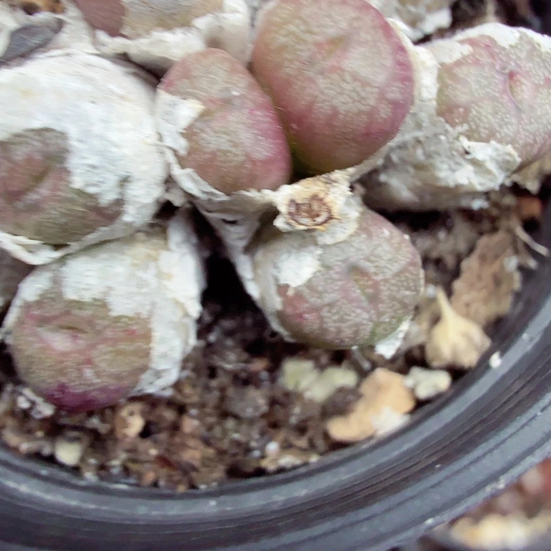 不会在有你电话啦你还打766