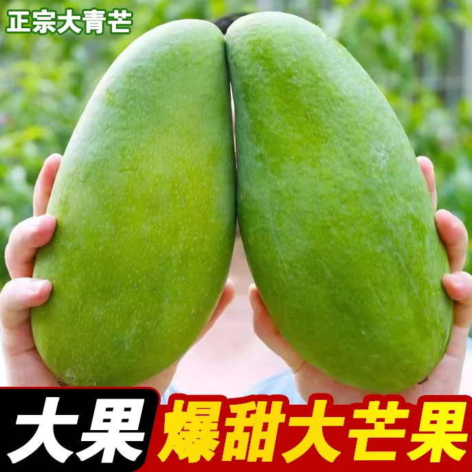 大青芒金煌芒果应季新鲜水果批发青皮芒果特大芒果甜水仙大青芒果