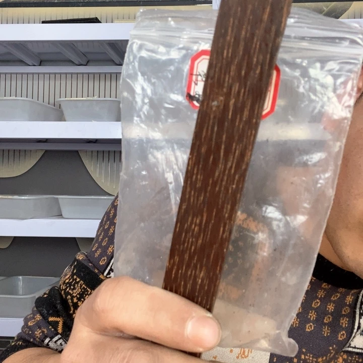 大果紫檀（缅甸花梨）423