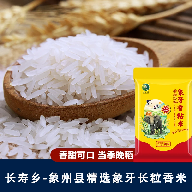 【象州供销优品】广西长粒香稻象牙香粘米油粘米长粒软香米晚稻香米