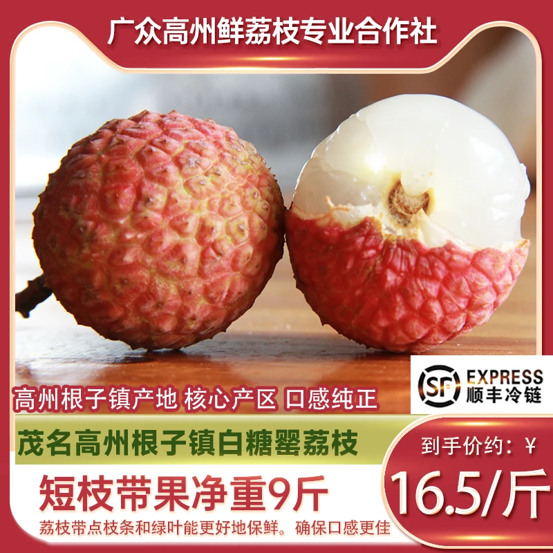【顺丰冷链净重9斤】正宗广东高州根子镇白糖罂新鲜荔枝爆汁超香甜