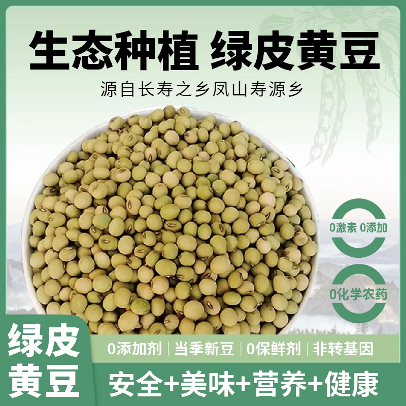 广西凤山农家自种绿皮黄豆5斤装