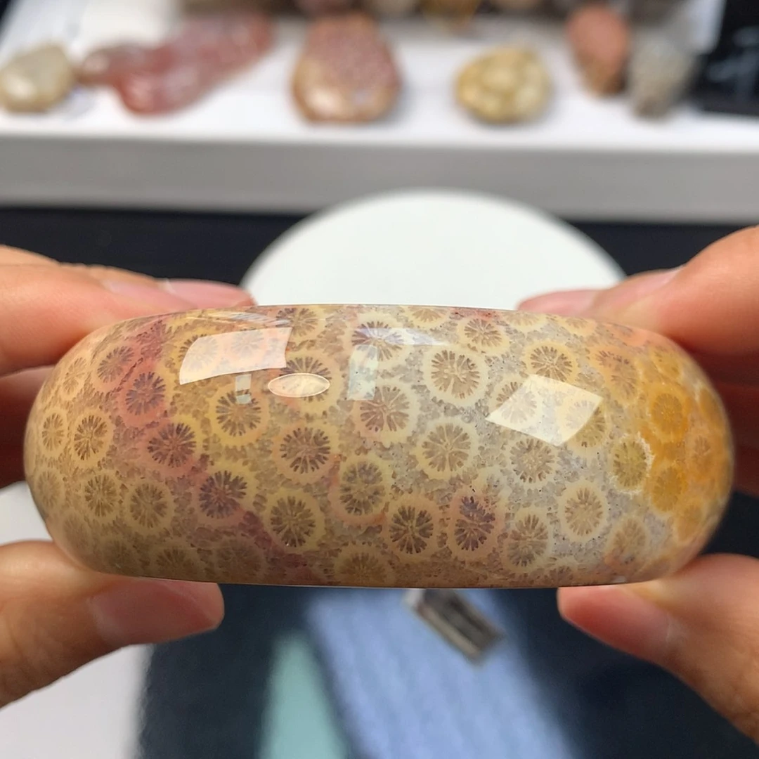 【闪购商品】硅化珊瑚(珊瑚玉)手镯未镶嵌手镯上新59.6(3号)