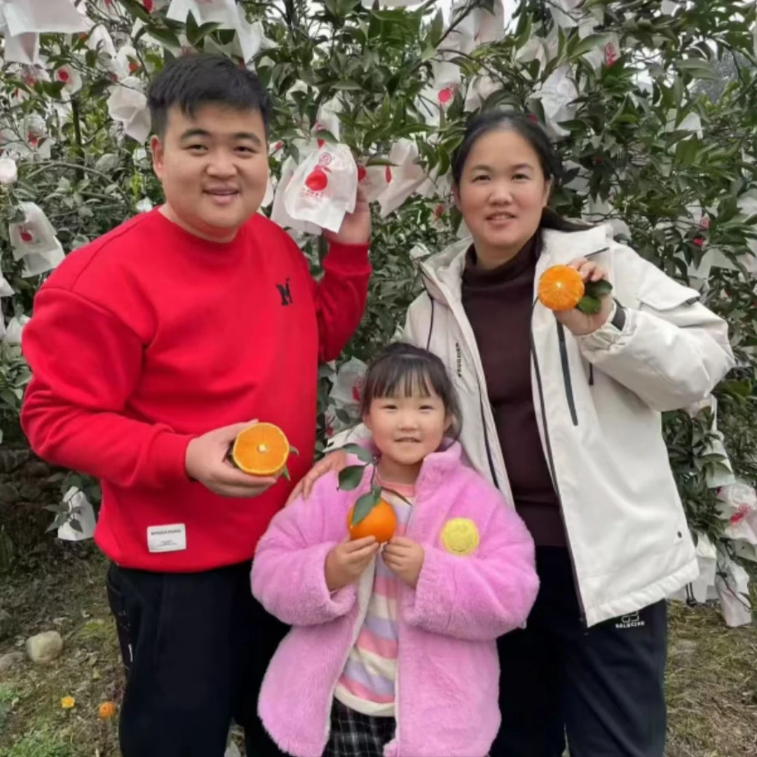 【阿丽优选】四川爱媛果冻橙-套袋果/皮薄肉嫩汁水多