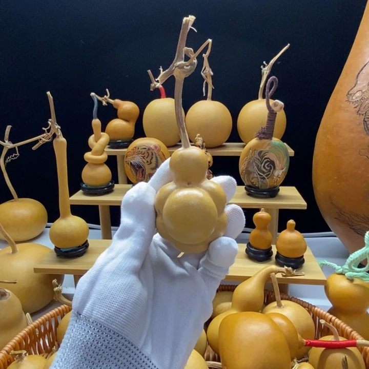 ᰔ***ᐝ葫芦朋友看价啊啊啊