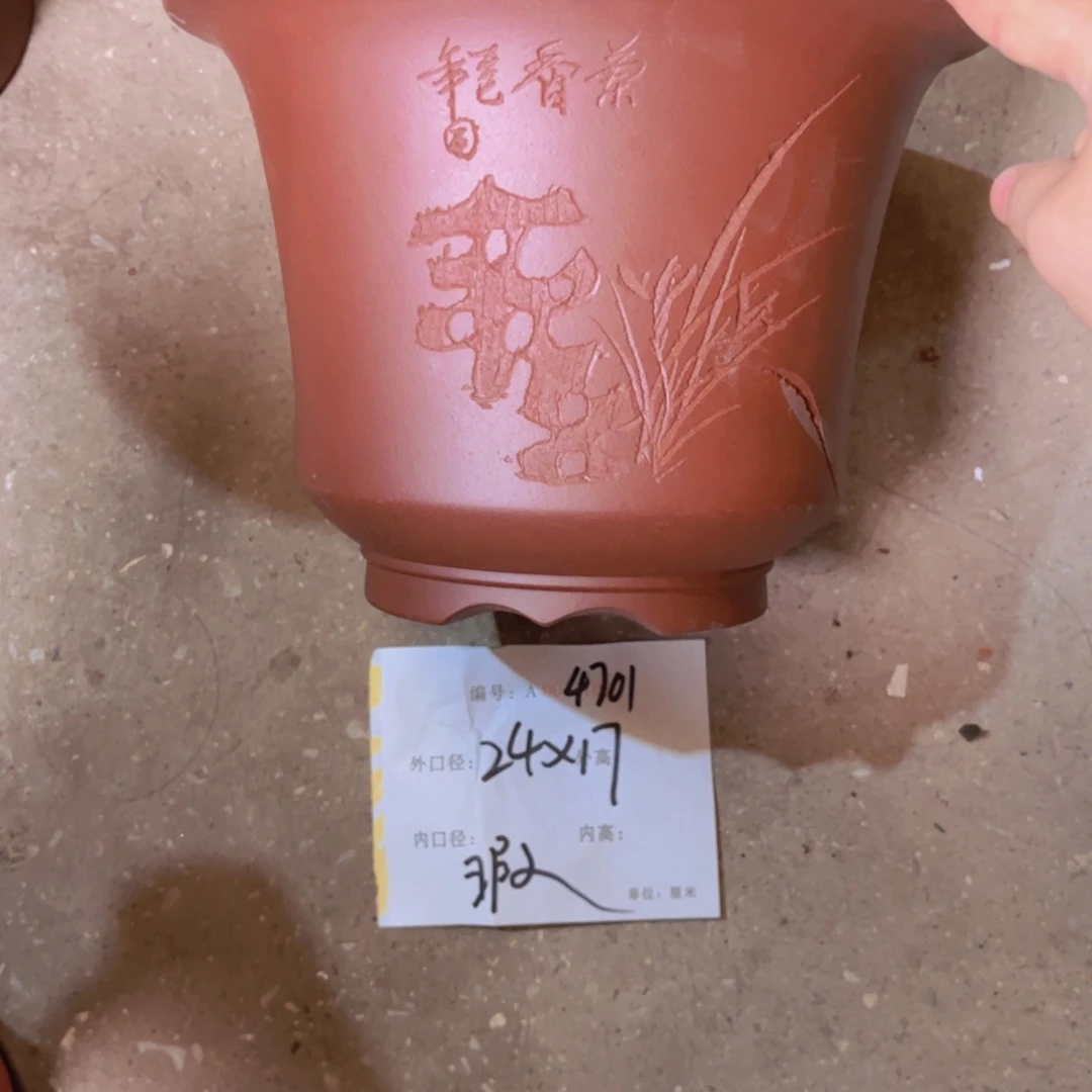 花盆紫砂紫紫砂盆