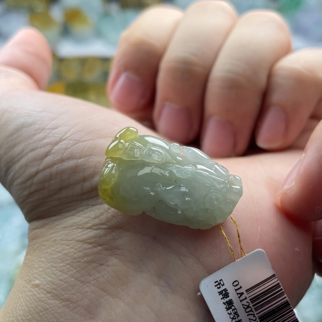 翡翠未镶嵌颈饰貔貅8