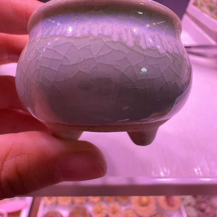 盆10，拇指浅圆，盆1，小方盆4个，多肉盆闲置处理不介意的拍！