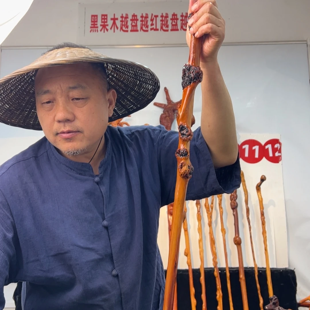 黑果木其他黑果木731