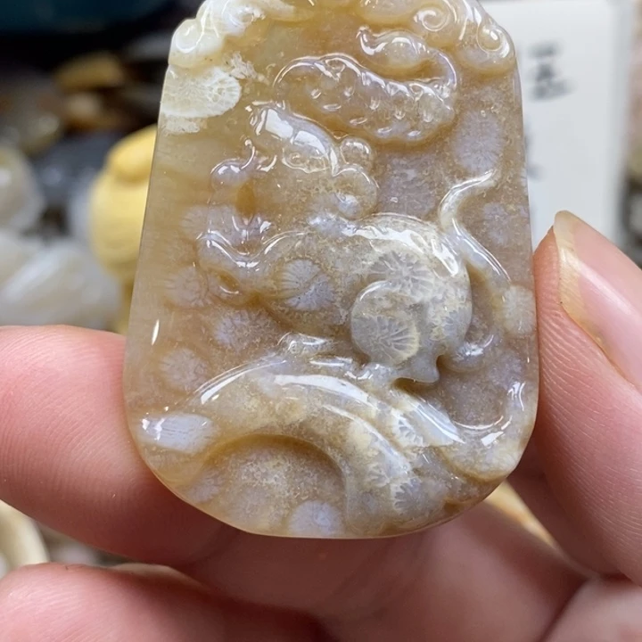 硅化珊瑚（珊瑚玉）未镶嵌颈饰