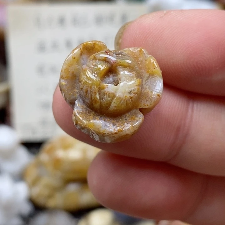 硅化珊瑚（珊瑚玉）未镶嵌颈饰小*苗
