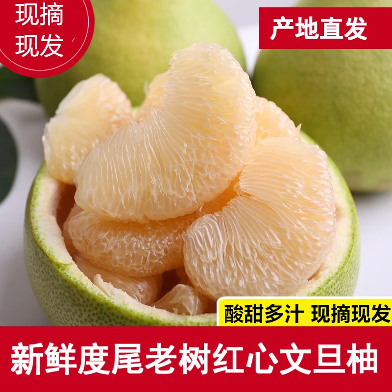 福建度尾文旦柚应季红心柚子老树柚子当季孕妇时令新鲜水果多汁