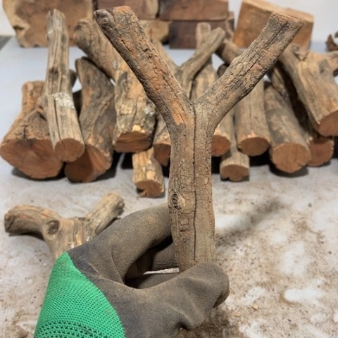 大果紫檀（缅甸花梨）曾***诺