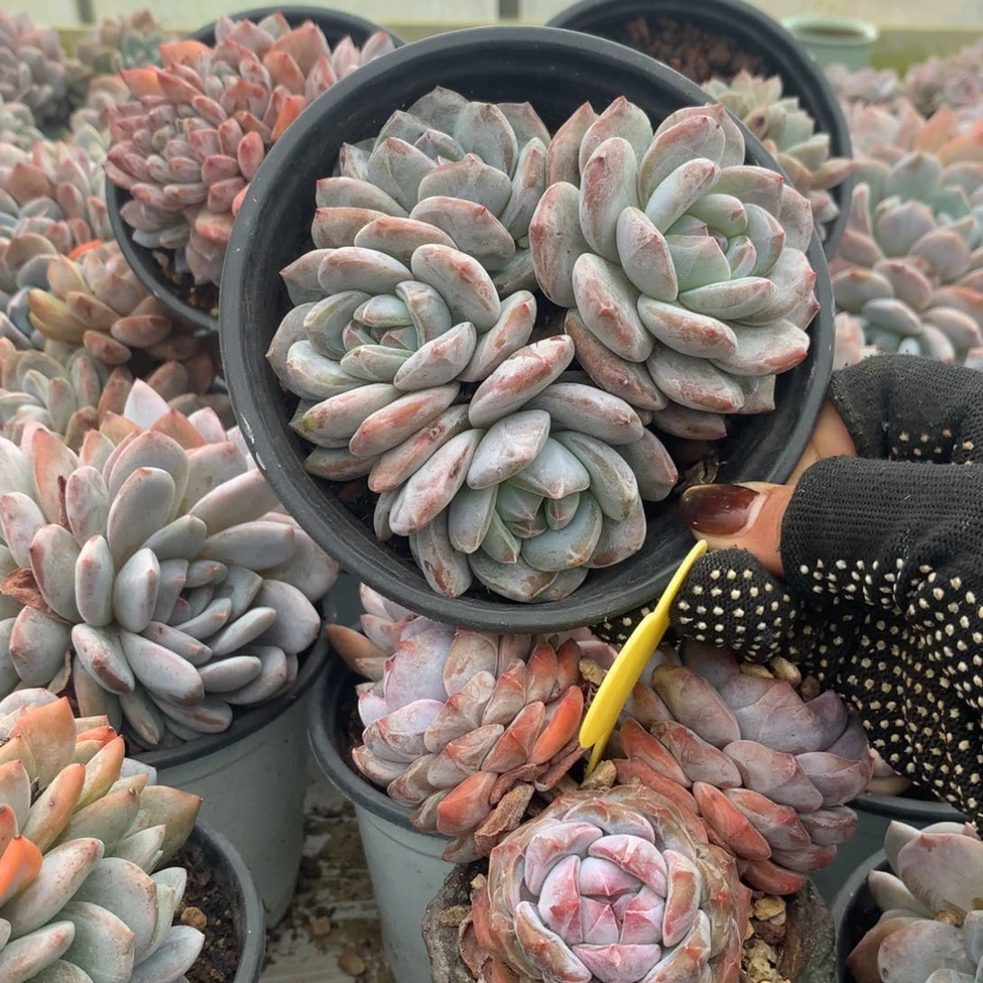 27哈哈哈哈哈哈哈哈