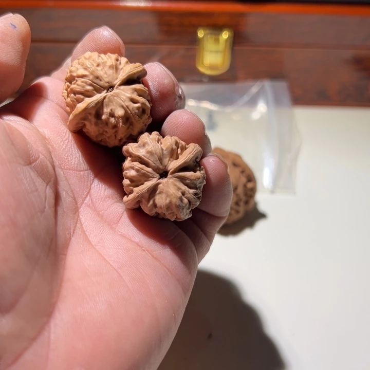 文玩核桃把件温**゛霸王