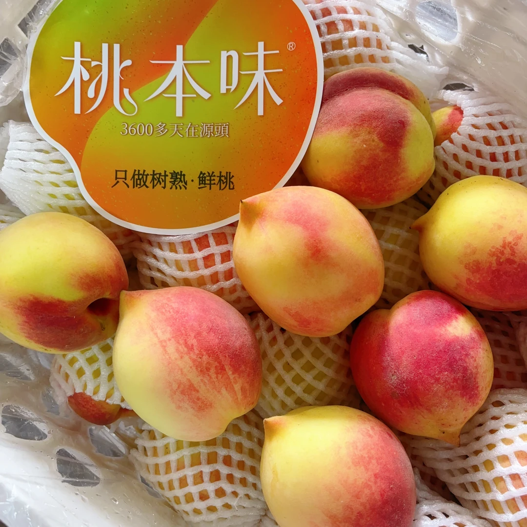 《桃本味》云南高山鹰嘴水蜜桃  5斤左右  顺丰包邮