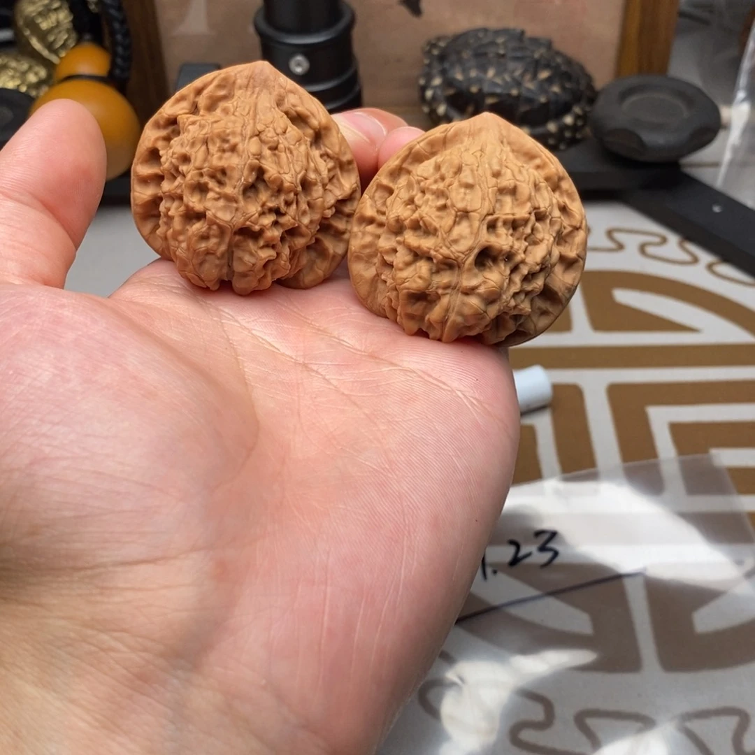 官帽哈哈哈哈哈哈