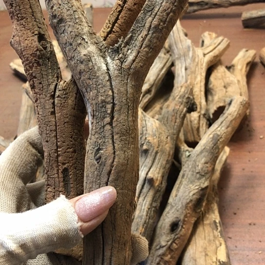 大果紫檀（缅甸花梨）半**过