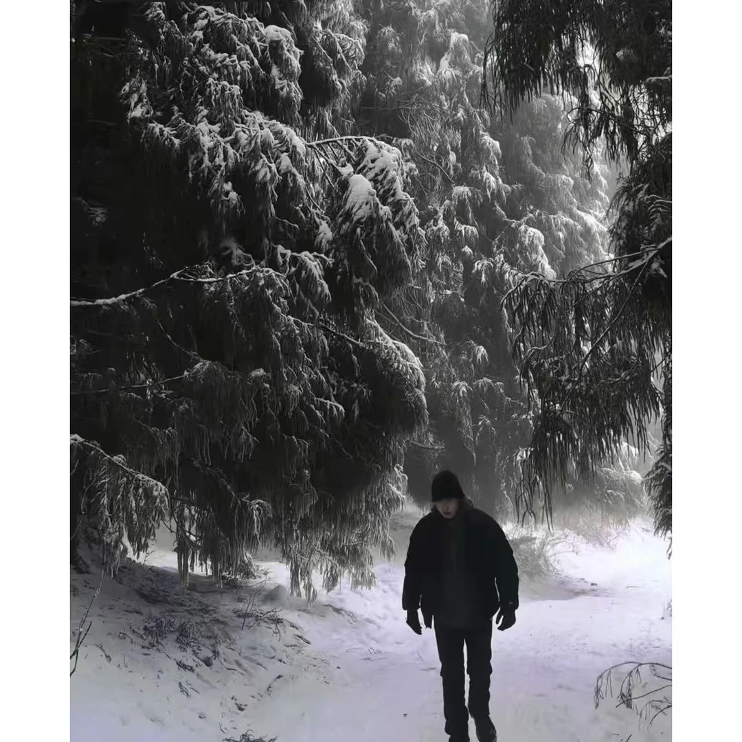 飞索SV 休闲舒适户外男女款羽绒外套[霖]12/9