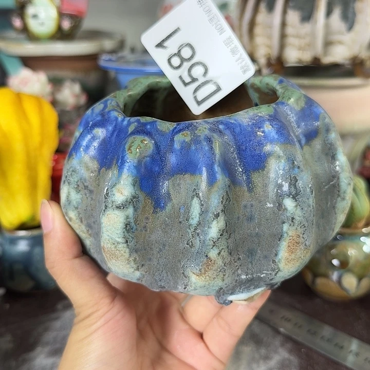 重庆小燕子欢迎大家581