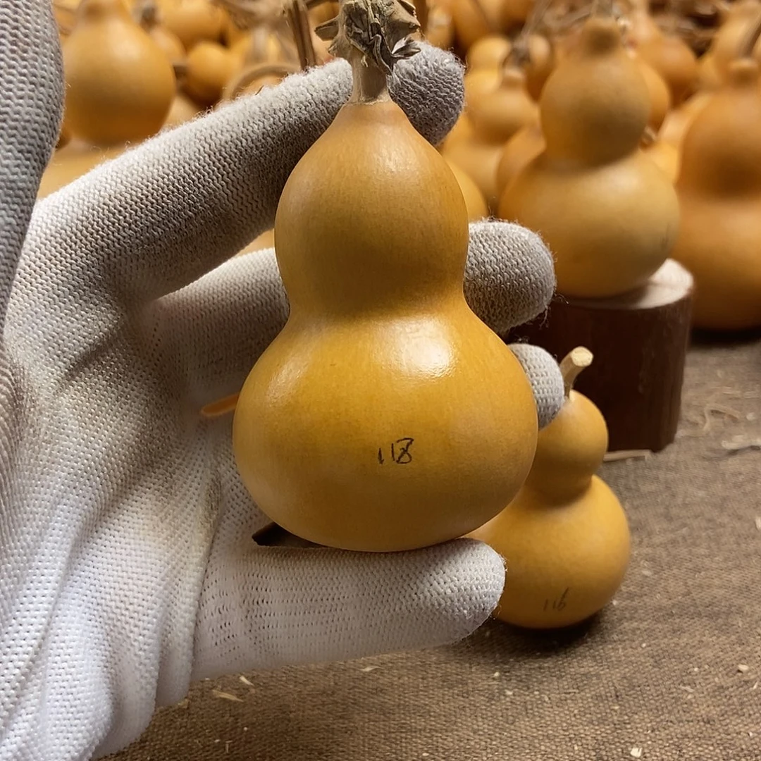 文玩葫芦 完美主义者 慎拍118