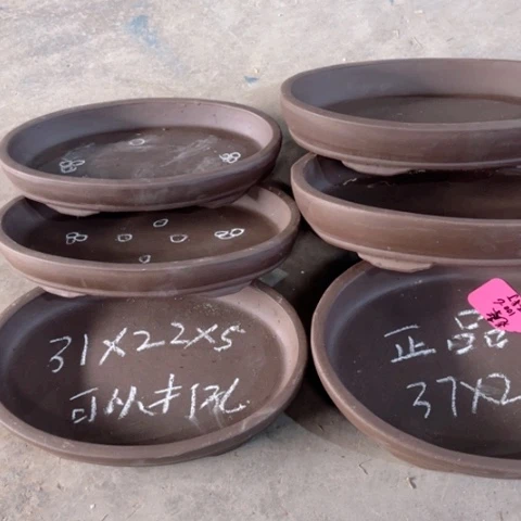 100-6。         组合