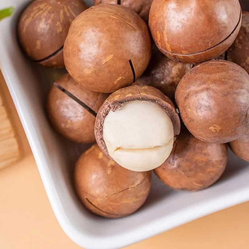 大颗夏威夷果6斤3公斤