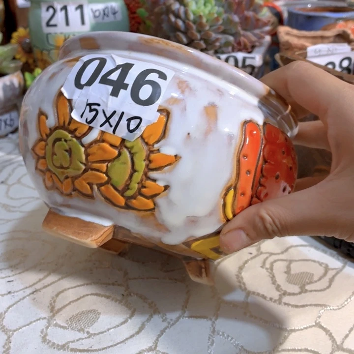 多肉花盆满15包邮爱退款拉黑