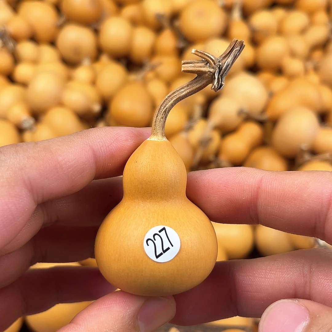 二葫芦葫芦葫芦葫芦227