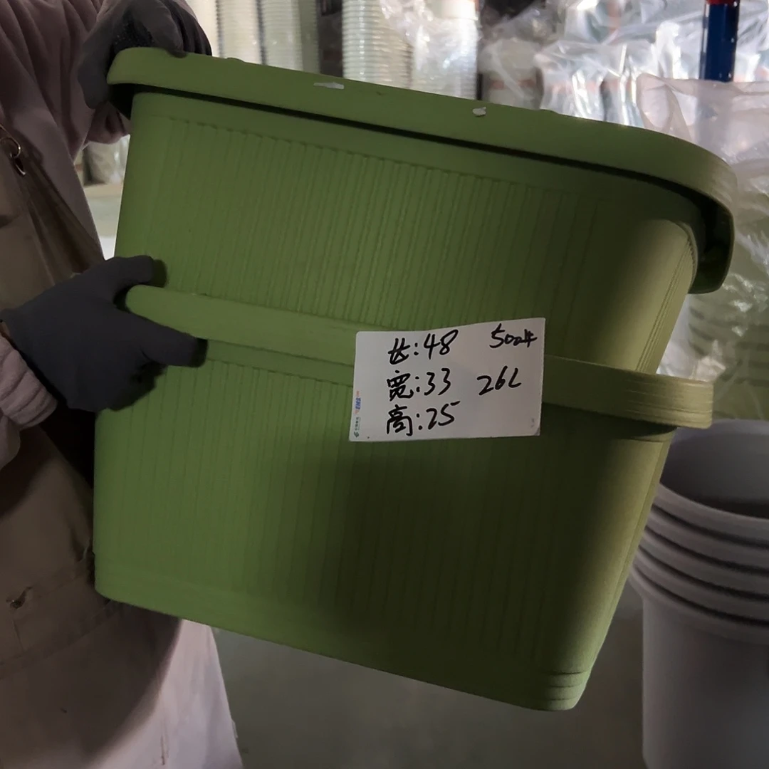 菜盆500#果绿色3个无托