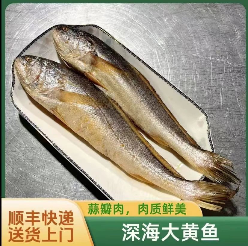 （中秋送礼）野生黄鱼7两左右每条蒜瓣肉码头直发生鲜海鲜 鲜冻发货