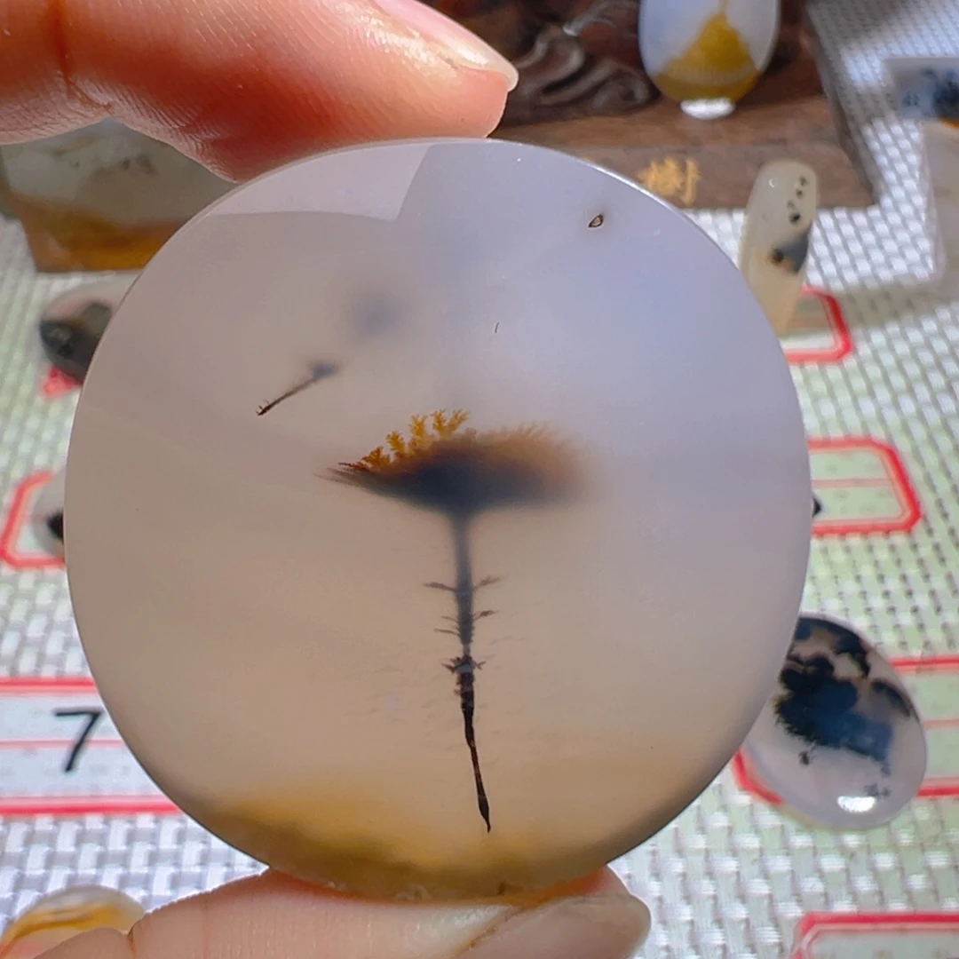 玛瑙/玉髓颈饰未镶嵌