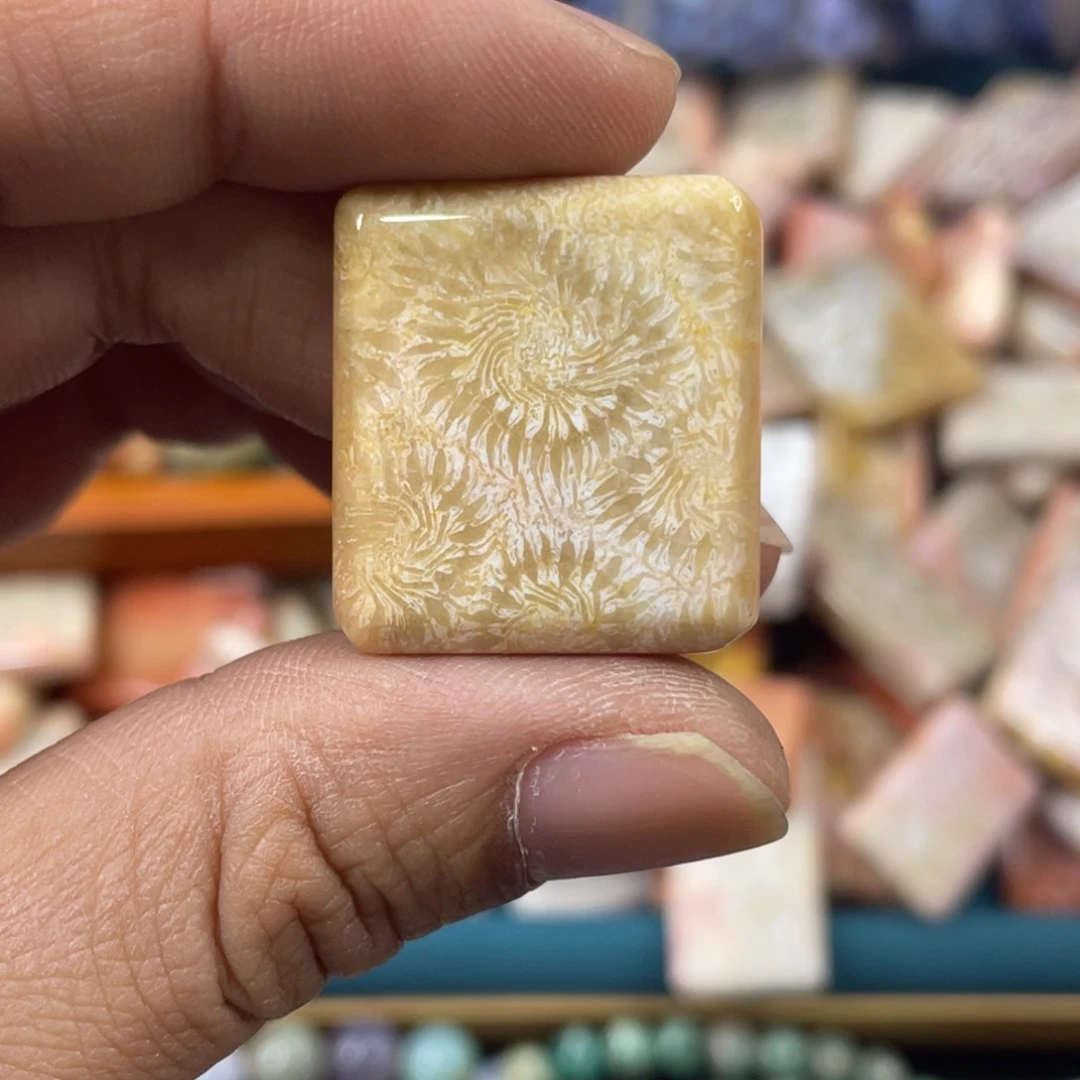 未镶嵌手镯硅化玉