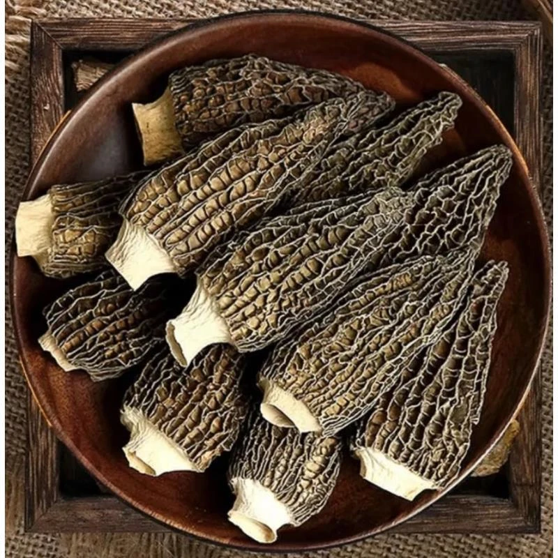 中缅农品-精选羊肚菌