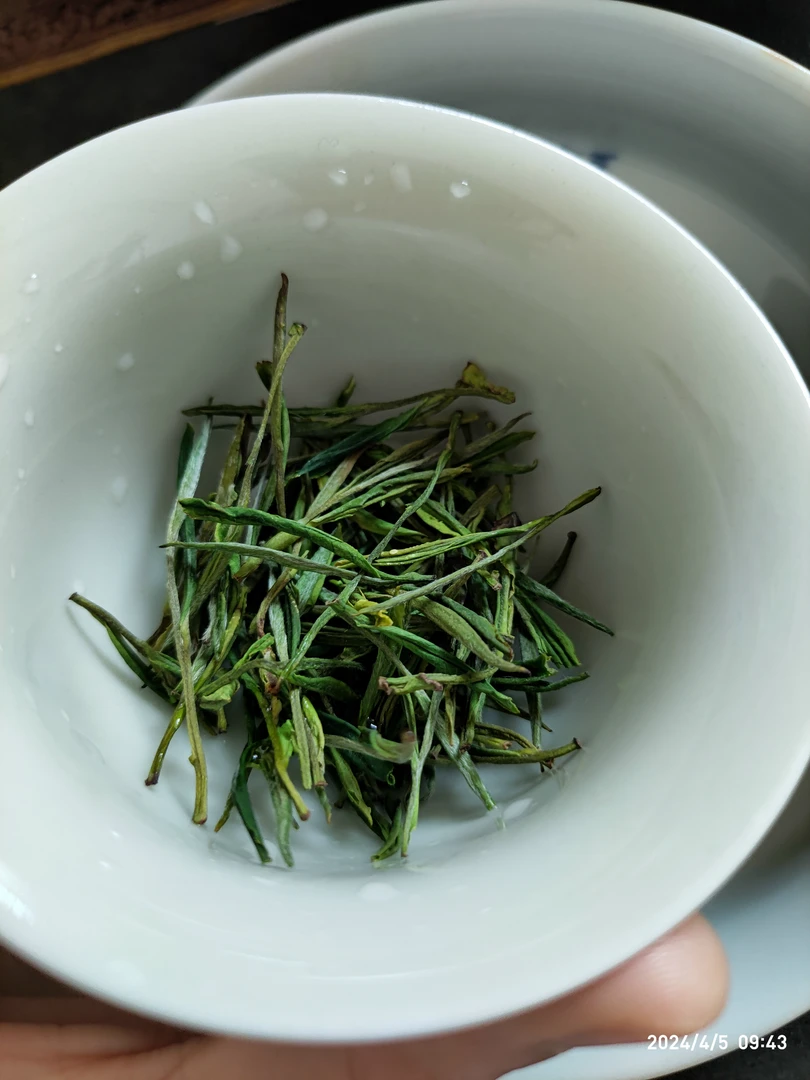 芳尘动（丁）2024春茶 高山白叶一号 花香型